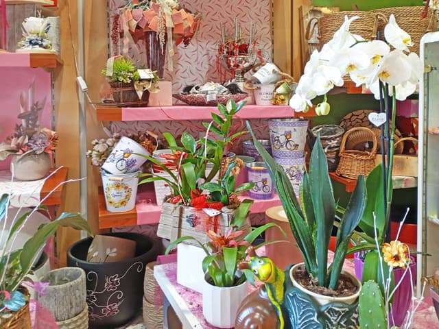 Tu floristería en Ourense desde 1992
