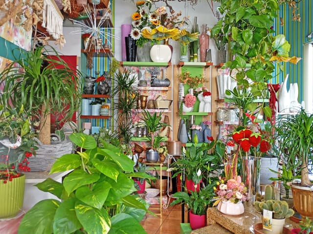 Servicios florales a medida en Ourense